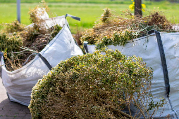 Trusted Oakland Park, FL Junk Removal Services Experts